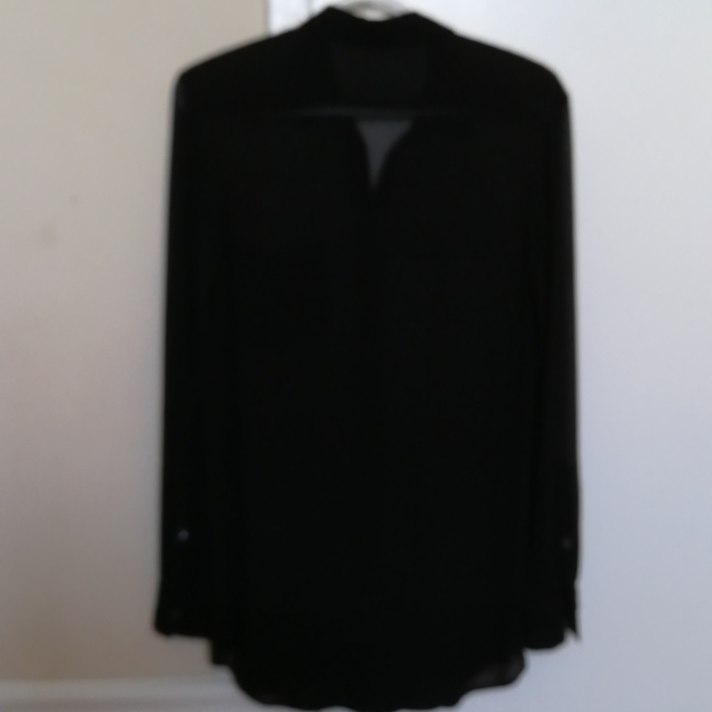 Aritzia BABATON 100% Silk Sheer Long Sleeves Blouse( Shirt), size xs~s - Picture 2 of 6